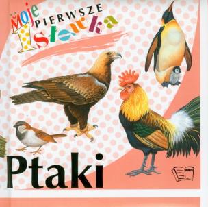 Opakowanie Ptaki Moje pierwsze słówka