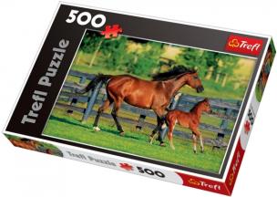 Okładka książki Puzzle 500 Pierwszy spacer źrebaka TREFL