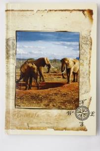 Opakowanie Brulion A5 w kratkę 96 kartek Zwierzęta mix