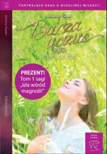 Okładka książki Cena uczuć