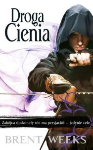 Okładka książki Droga Cienia. T.1. Trylogia Nocnego Anioła w.2015