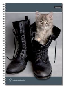 Opakowanie Kołobrulion A4 w kratkę 80 kartek