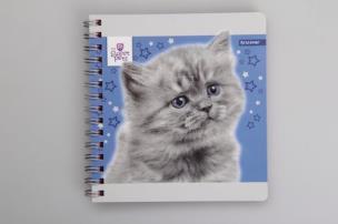 Opakowanie Kołonotatnik na spirali 80 kartek mix