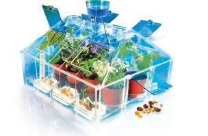 Okładka książki Naukowa zabawa. Nauka w szklarni