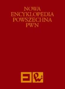 Opakowanie Nowa Encyklopedia Powszechna Tom 6