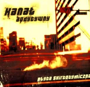 Okładka książki Płyta skirtotymiczna