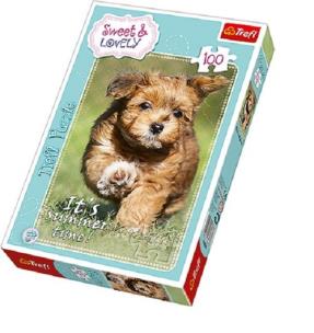 Okładka książki Puzzle 100 Zabawa latem TREFL