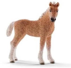 Okładka książki Schleich - Życie na farmie - Bashkir Curly źrebię