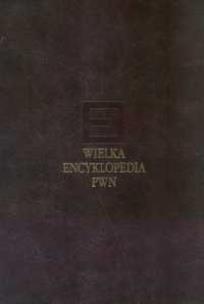 Opakowanie Wielka encyklopedia PWN Tom 19