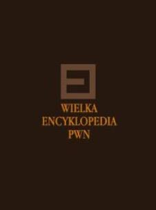 Opakowanie Wielka Encyklopedia PWN Tom 20
