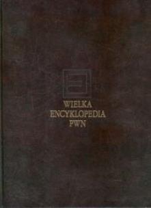 Opakowanie Wielka encyklopedia PWN Tom 7