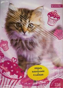 Opakowanie Wkłady do segregatora A5 8kartek