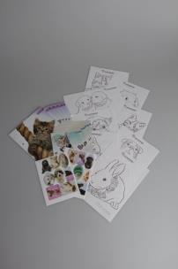 Opakowanie Wkłady do segregatora A5 + A6 z kolorowankami i naklejkami