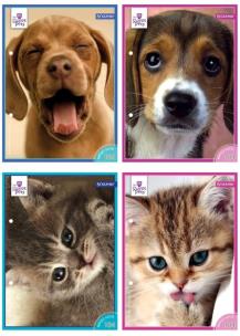 Opakowanie Wkłady do segregatora A6 8 kartek z kolorowankami i naklejkami seria 104