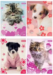 Opakowanie Wkłady do segregatora A6 8 kartek z kolorowankami i naklejkami seria 226