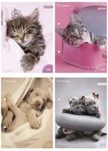 Opakowanie Wkłady do segregatora A6 8 kartek z kolorowankami i naklejkami seria  229