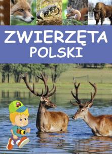 Okładka książki Zwierzęta Polski