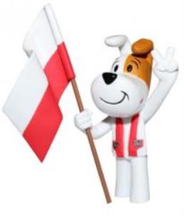 Opakowanie Brelok - Reksio Kibic TISSO TOYS