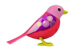 Opakowanie Digibirds z ramką Scarlett