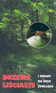 Okładka książki Drzewa liściaste i owady na nich żerujące