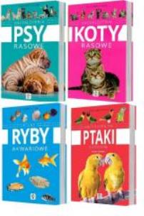 Okładka książki Expert. Encyklopedia - Mały Pakiet Dragon