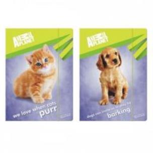 Opakowanie Teczka z gumką A4 Animal Planet Cute