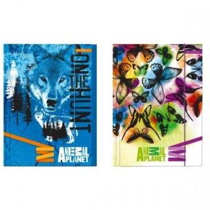 Opakowanie Teczka z gumką A4 Animal Planet