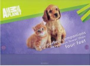 Opakowanie Teczka z rączką A4 Animal Planet Cute