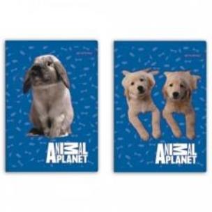 Opakowanie Zeszyt A5/16K kratka Animal Planet Cute 20szt