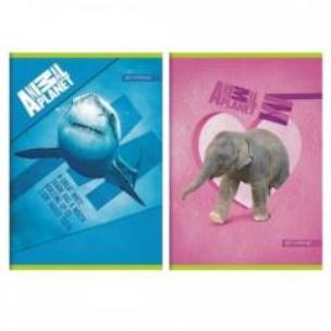 Opakowanie Zeszyt A5/16K linia Animal Planet 20szt