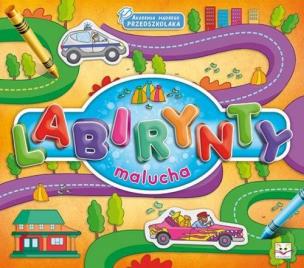 Okładka książki Akademia mądrego przedszkolaka. Labirynty malucha