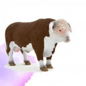 Opakowanie Byk rasy Hareford ANIMAL PLANET