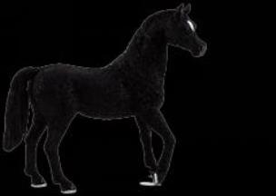 Opakowanie Czarny ogier rasy arabskiej ANIMAL PLANET