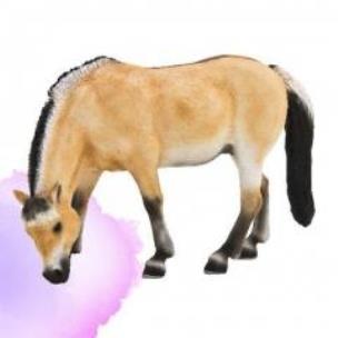 Opakowanie Klacz fiordzka ANIMAL PLANET