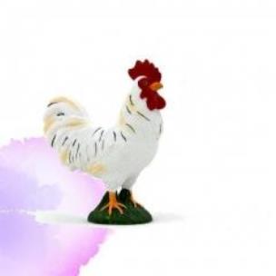 Opakowanie Kogut ANIMAL PLANET