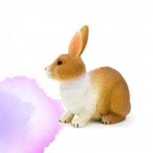 Opakowanie Królik brązowo-biały ANIMAL PLANET