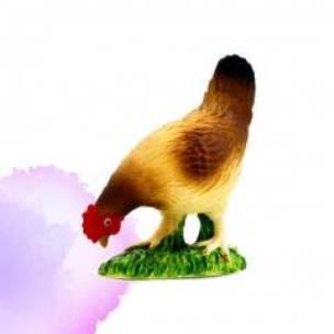 Opakowanie Kura dziobiąca ANIMAL PLANET