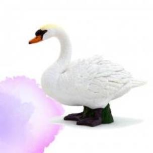 Opakowanie Łabędź niemy ANIMAL PLANET