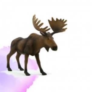 Opakowanie Łoś ANIMAL PLANET