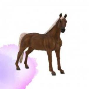 Opakowanie Ogier rasy Morgan maści izabelowatej ANIMAL PLANET