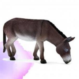 Opakowanie Osioł ANIMAL PLANET