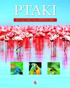 Okładka książki Ptaki. Atlas encyklopedyczny TW
