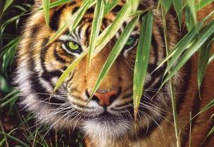 Opakowanie Puzzle 260 Emerald Forest CASTOR