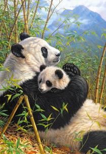 Opakowanie Puzzle 260 New Dynasty CASTOR