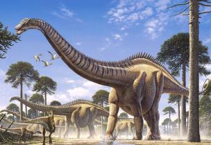 Okładka książki Puzzle 260 Supersaurus CASTOR