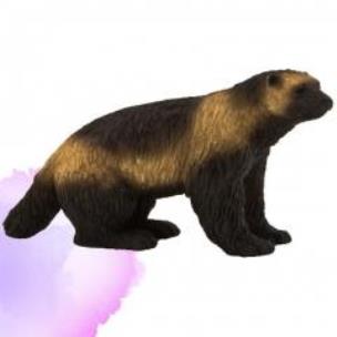 Opakowanie Rosomak ANIMAL PLANET