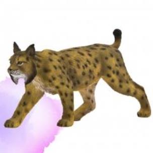 Opakowanie Ryś iberyjski ANIMAL PLANET