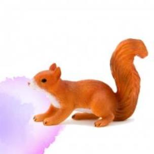 Opakowanie Wiewiórka biegnąca ANIMAL PLANET