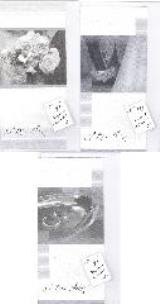 Opakowanie Album - W dniu Ślubu mix