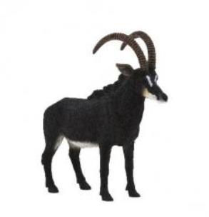 Opakowanie Antylopa szabloroga ANIMAL PLANET